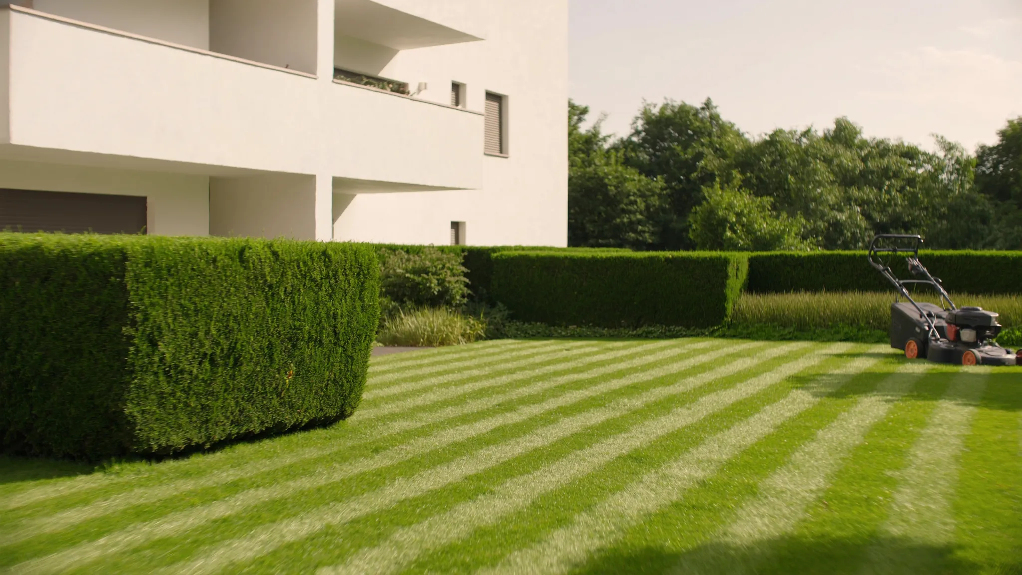Gepflegter Rasen und Hecke vor einem Wohnhaus